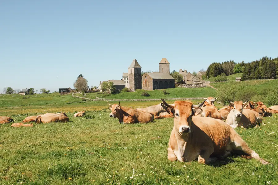 © P. Saint-Jean Aumont-Aubrac