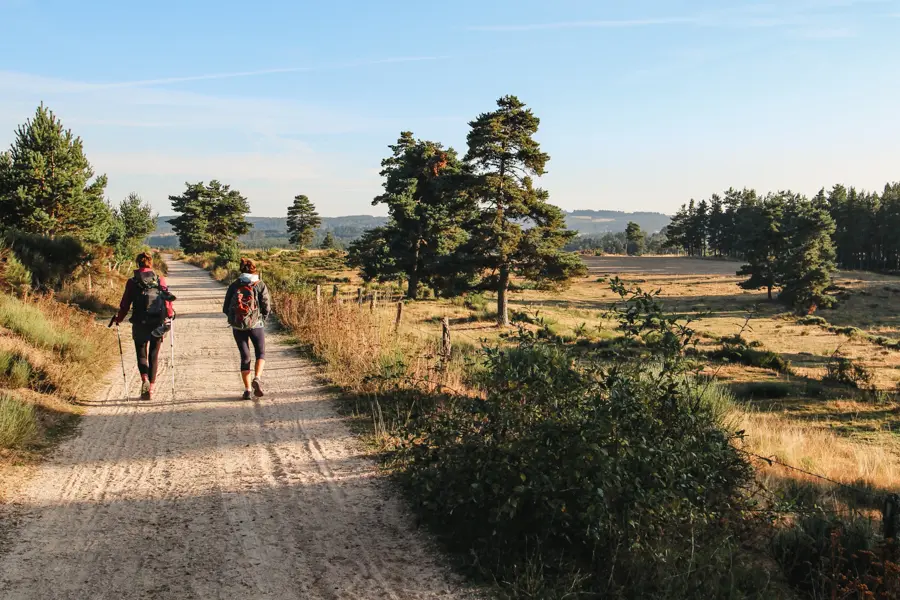 Hautes terres pastorales d'Aubrac