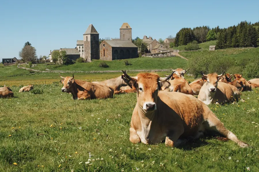 © P. Saint-Jean Aumont-Aubrac