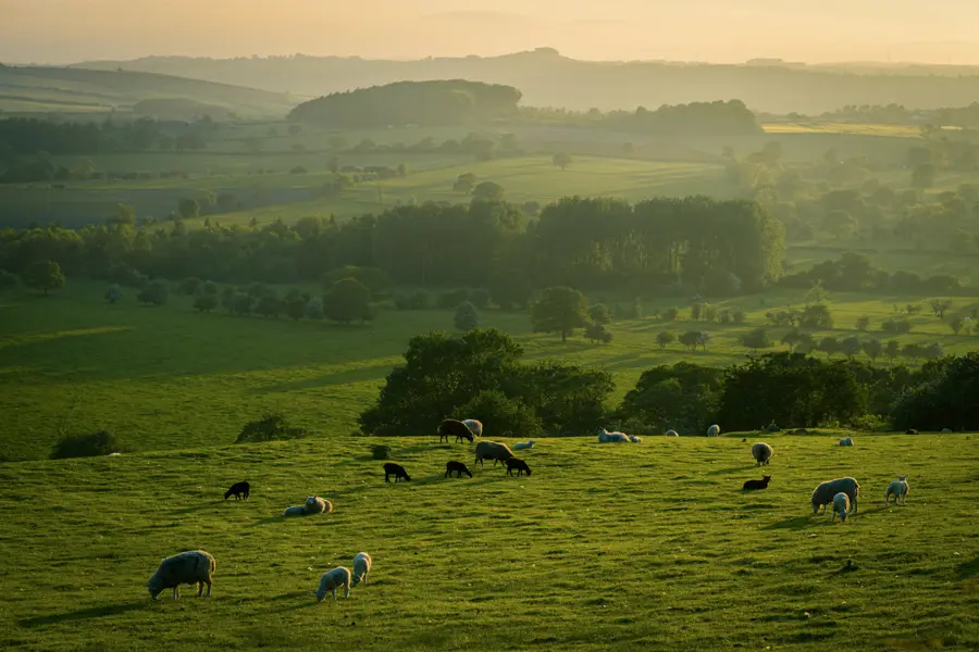 © illiya-vjestica unsplash De Cajarc à Limogne-en-Quercy