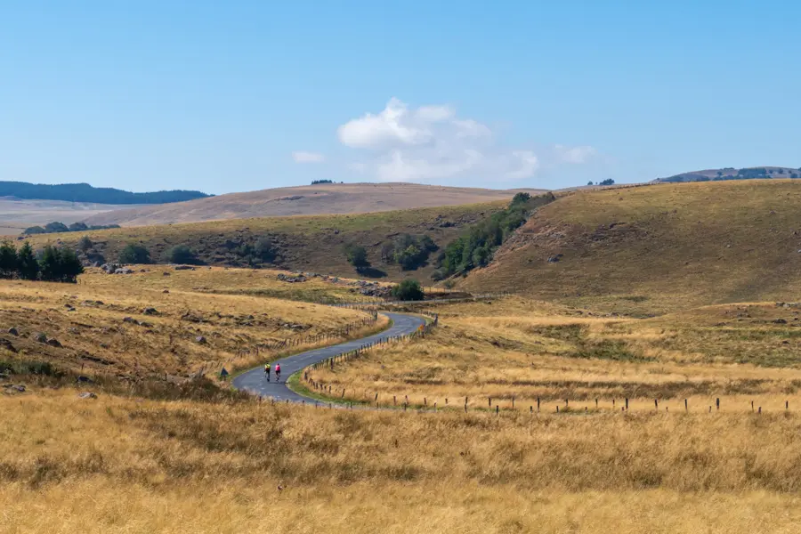 © brun-herve-adobestock Plateau de l'Aubrac