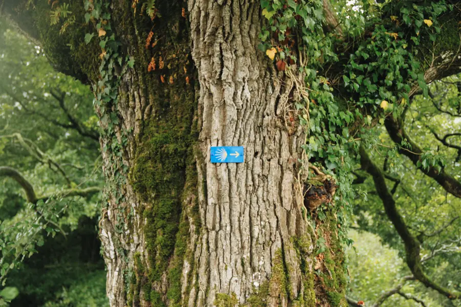 © C. Queric De Miramont-Sensacq à Fichous-Riumayou (ou Larreule)