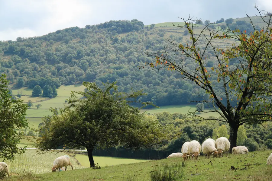 De Fichous-Riumayou (ou Larreule) à Arthez-de-Béarn