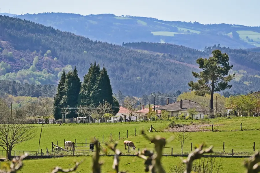 Chemin entre Mélide à Arzùa