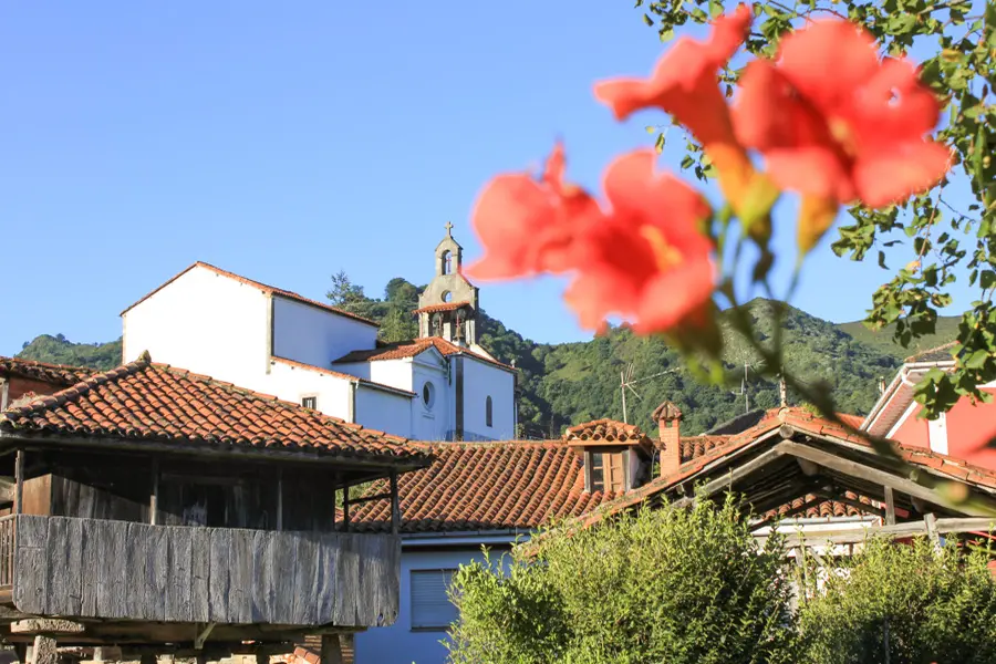 De Grado à Salas