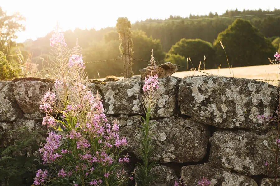 © M. Coppin Plateau de la Margeride